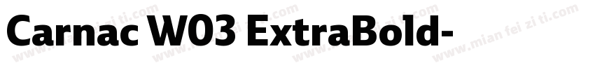 Carnac W03 ExtraBold字体转换